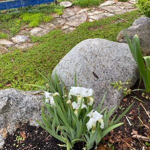 Meet your Posher, Soraya